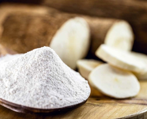 Cassava Flour Tortillas